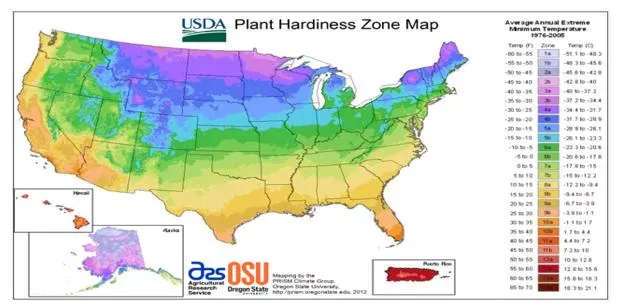 USDA hardiness zones