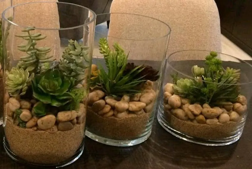 pots without drainage holes for succulents