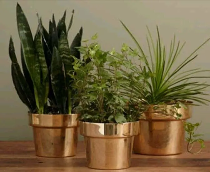 metal planters for succulents