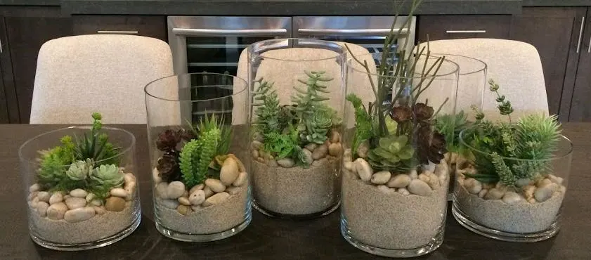 Succulents in planters without soil 