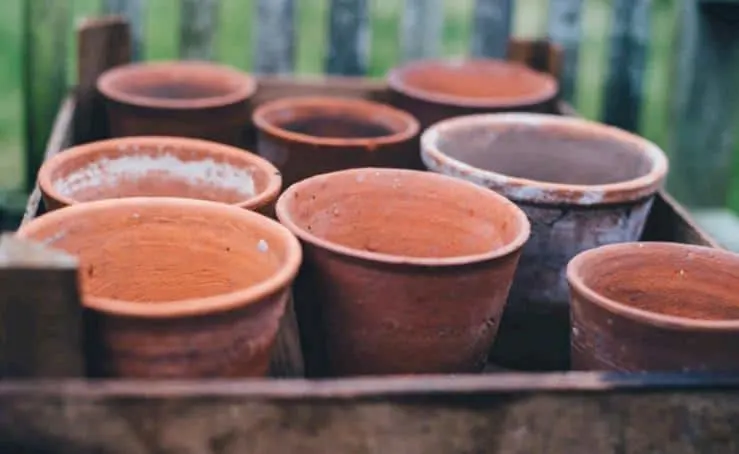 terracotta pots
