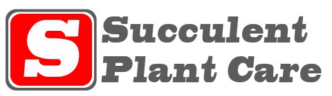 Succulent Plant Care