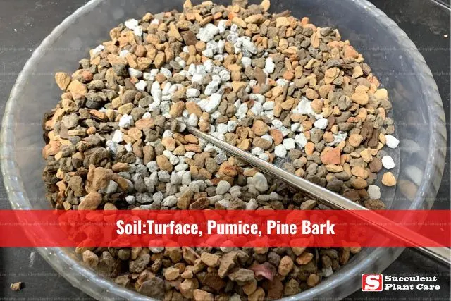 soil sample tufface, pumice, pine bark